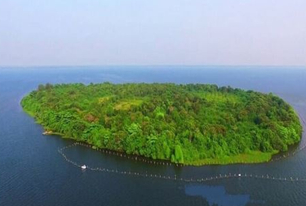  Alleppey honeymoon package